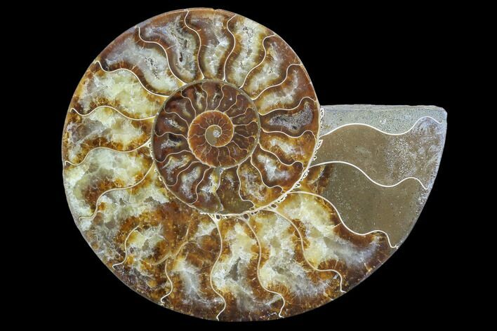 Agatized Ammonite Fossil (Half) - Madagascar #88182
